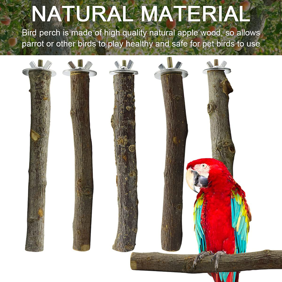 Storystore Bird Perches Natural Wood Parrot Perch for Parakeet Cage Accessories Parakeet Toys for Parrots, Parakeets Cockatiels, Conures, Macaws, Love Birds, Finches Animals & Pet Supplies > Pet Supplies > Bird Supplies > Bird Cage Accessories Storystore   