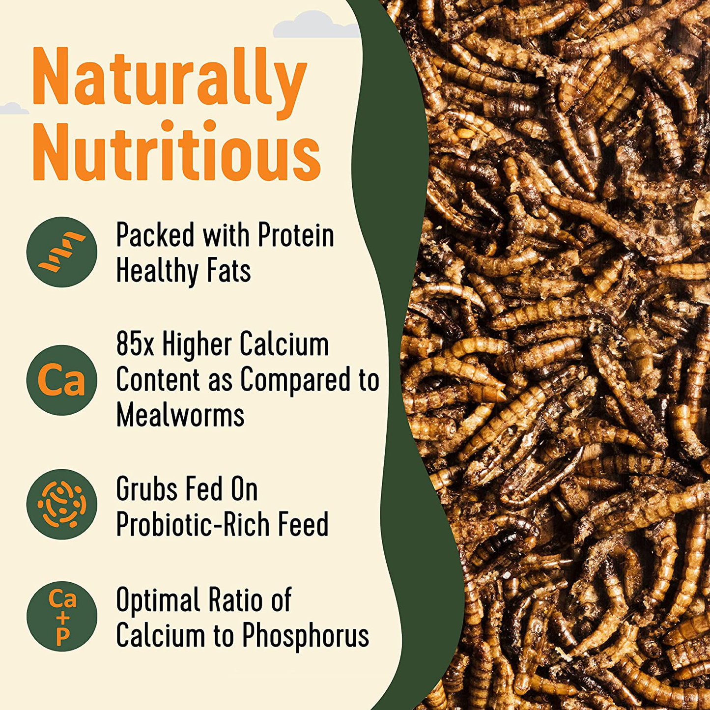 Supreme Grubs -Natural Black Soldier Fly Larvae for Chickens, 85X More Calcium than Mealworms-High Protein Grub Food Chicken Treats for Hens, Probiotic-Rich Chicken Feed and Calcium-Dense Bird Animals & Pet Supplies > Pet Supplies > Bird Supplies > Bird Treats Supreme Grubs   