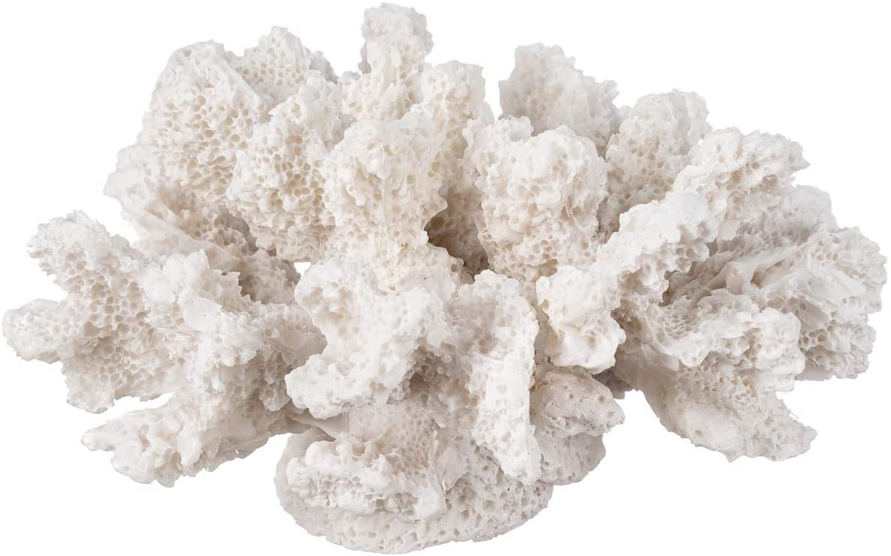 Nautical Crush Trading Decorative Sea Coral - 4In X 3.5In X 2.5In - Small White Coral for Beachy Decor - Perfect for Aquariums - Fish Tanks Animals & Pet Supplies > Pet Supplies > Fish Supplies > Aquarium Decor Nautical Crush Trading Small  