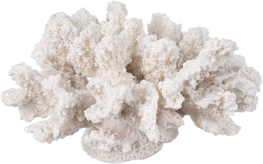Nautical Crush Trading Decorative Sea Coral - 4In X 3.5In X 2.5In - Small White Coral for Beachy Decor - Perfect for Aquariums - Fish Tanks Animals & Pet Supplies > Pet Supplies > Fish Supplies > Aquarium Decor Nautical Crush Trading Small  