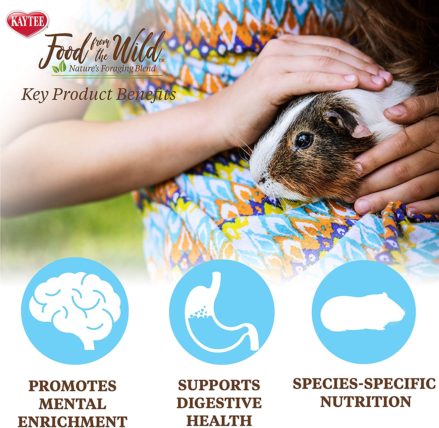 Kaytee Food from the Wild Guinea Pig,4 Lb Animals & Pet Supplies > Pet Supplies > Small Animal Supplies > Small Animal Treats Kaytee   