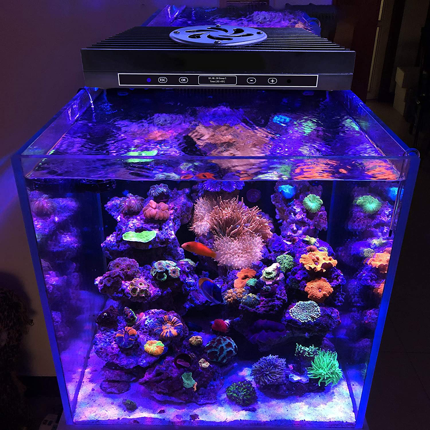 SMATFARM LED Aquarium Light - Updated Program Coral Reef Light Dimmable 95Watts (±5%) Full Spectrum Sunrise Sunset for Marine Fish Tanks Coral Reef Lamp with Timer Function
