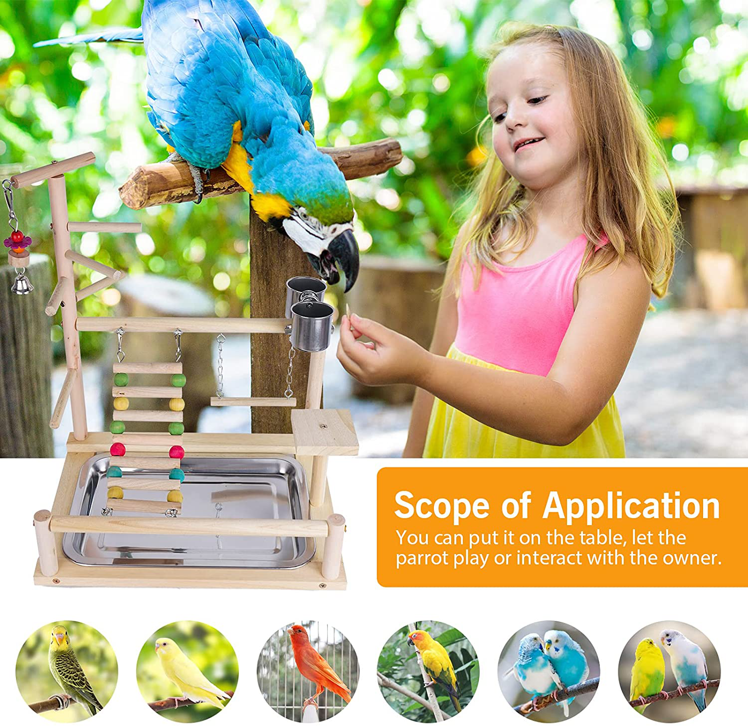 Joyeee Parrot Perches, Bird Cage Parakeet Toys, Pet Supplies Swing Chewing Toys, Rope Bungee Birds Cages Accessories, for Younger Birds, Sun Conure, Cockatiel Gerbil Rat Mouse Chinchilla Hamster Animals & Pet Supplies > Pet Supplies > Bird Supplies > Bird Cages & Stands Joyeee   