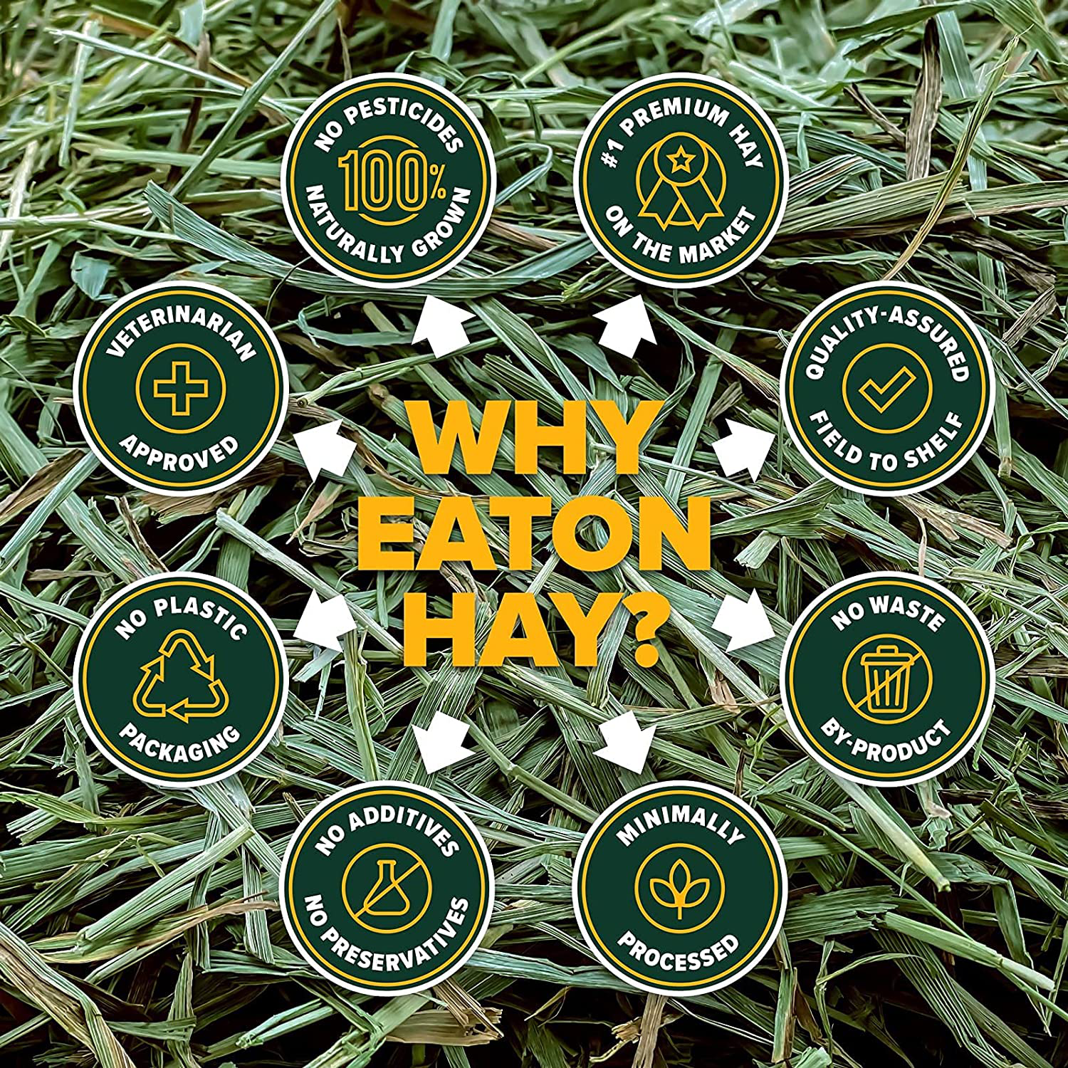 Eaton Pet and Pasture Naturally Grown, Premium, First Cut Blend, Western Timothy Hay Orchard Blend, Small Animal Food, Sustainable, Eco-Friendly, Farmer-Owned, 6Lb-Box. Animals & Pet Supplies > Pet Supplies > Small Animal Supplies > Small Animal Food Eaton Hemp   