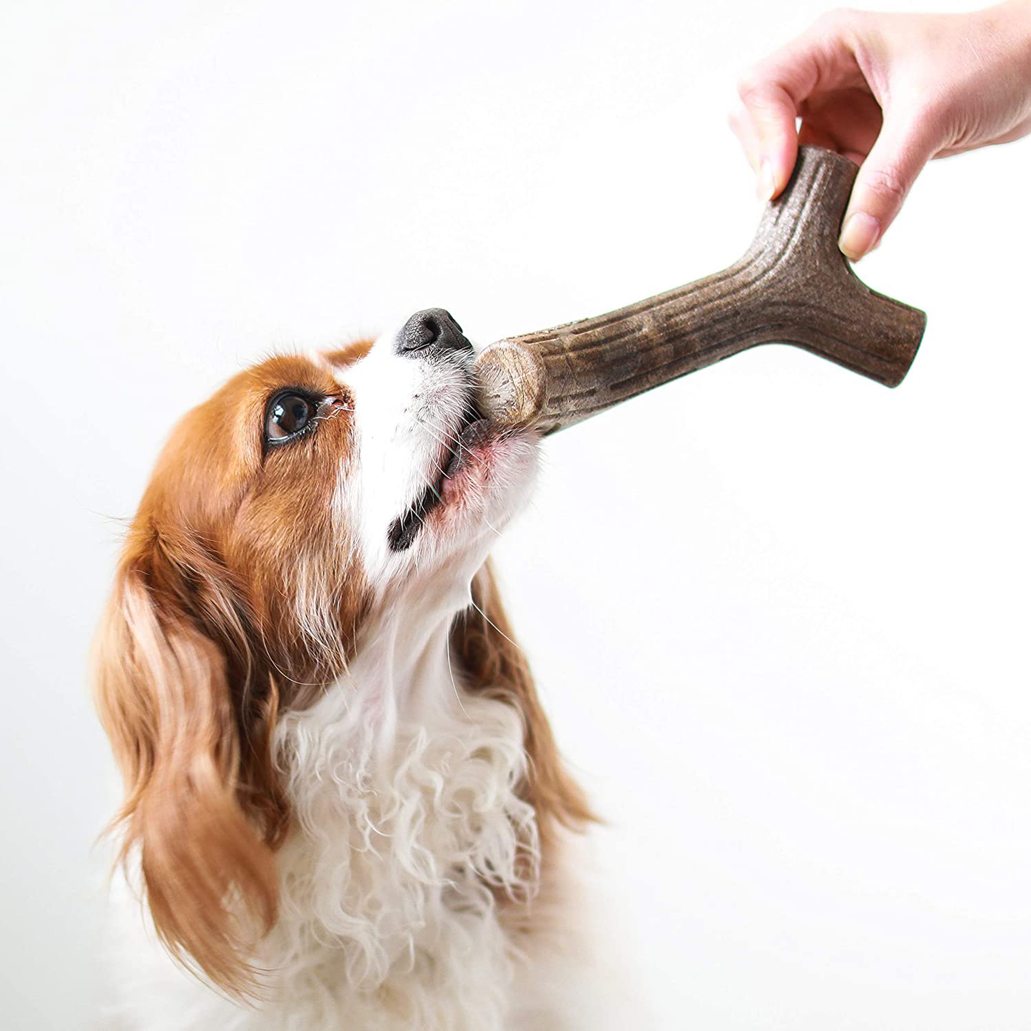 Benebone Maplestick/Bacon Stick Durable Dog Chew Toy for Aggressive Chewers, Made in USA Animals & Pet Supplies > Pet Supplies > Dog Supplies > Dog Toys Benebone   