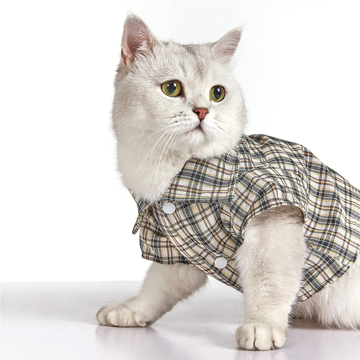 COUTUDI Pet Basic Plaid Shirt Little Puppy T-Shirt Clothes Small Dog Plaid Polo Clothes Shirt Cat T-Shirt Puppy Supplies for All Seasons Animals & Pet Supplies > Pet Supplies > Cat Supplies > Cat Apparel CT COUTUDI   