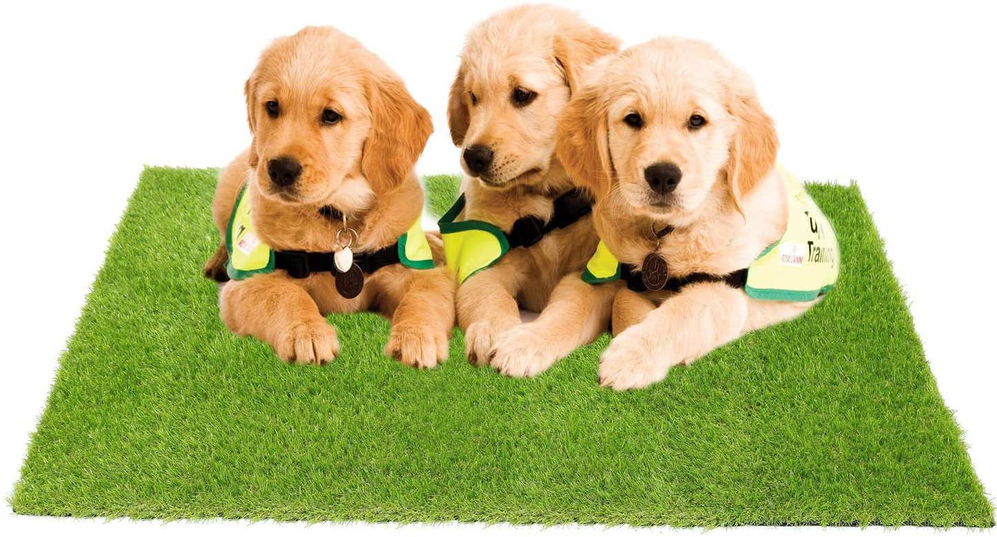 ECO MATRIX Artificial Grass Dog Training Door Mat Pee Pad Fake Grass Doormat Pet Turf Soft Green Lawn Rug Synthetic Grass Carpet Animals & Pet Supplies > Pet Supplies > Dog Supplies > Dog Kennels & Runs ECO MATRIX   