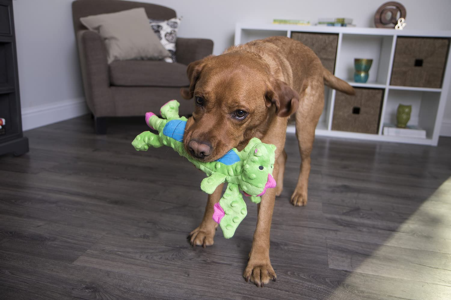 Godog Dragons Skinny Squeaker Dog Toy, Soft & Durable Plush, Chew Resistant & Tough Reinforced Seams, Green, Large Animals & Pet Supplies > Pet Supplies > Dog Supplies > Dog Toys goDog   