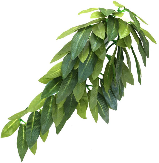 Reptile Plants Hanging Silk Terrarium Plant with Suction Cup for Bearded Dragons,Lizards,Geckos,Snake Pets and Hermit Crab Tank Habitat Decorations,Small Size,12 Inches Green Animals & Pet Supplies > Pet Supplies > Reptile & Amphibian Supplies > Reptile & Amphibian Habitat Accessories SLSON   