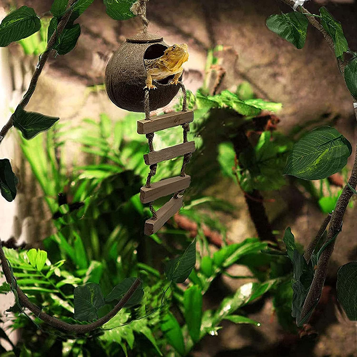 Kathson Lizard Coco Den with Ladder, Reptile Hideouts Gecko Coconut Husk Hut with Artificial Bendable Jungle Climbing Vines for Chameleon, Lizards, Gecko, Snakes to Hide Perch and Play