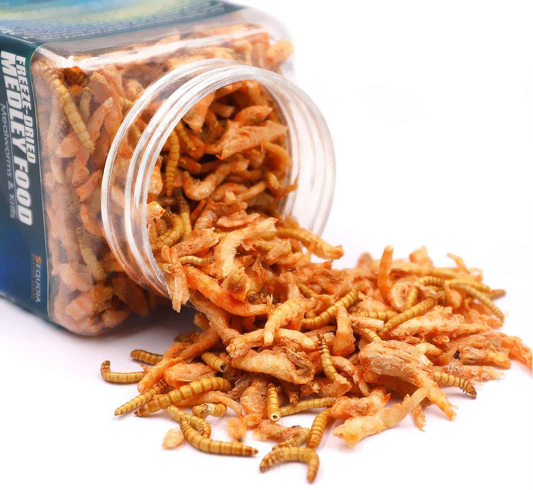 Aquatic Turtle Medley Food - Freeze Dried Shrimp & Mealworms for Aquatic Turtle, Beard Dragon and Other Reptiles & Amphibians Animals & Pet Supplies > Pet Supplies > Reptile & Amphibian Supplies > Reptile & Amphibian Food Sequoia   