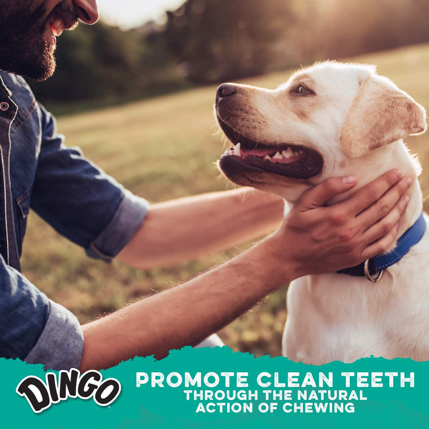 Dingo Tartar and Breath Dental Sticks for All Dogs, Made with Chicken Dental Dog Chew Animals & Pet Supplies > Pet Supplies > Dog Supplies > Dog Treats Dingo   