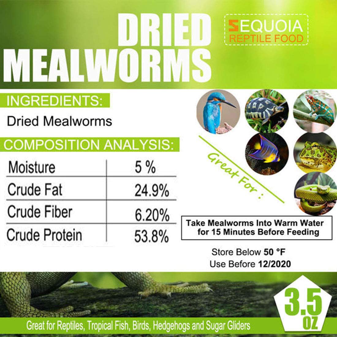 Reptile Food Dried Mealworms Pet Worms Food for Bearded Dragon, Lizard, Turtles, Chameleon, Monitor, Frog, Sugar Glider, Chickens, Ducks, Wild Birds, Fish, Hamsters and Hedgehogs Animals & Pet Supplies > Pet Supplies > Reptile & Amphibian Supplies > Reptile & Amphibian Food Sequoia   