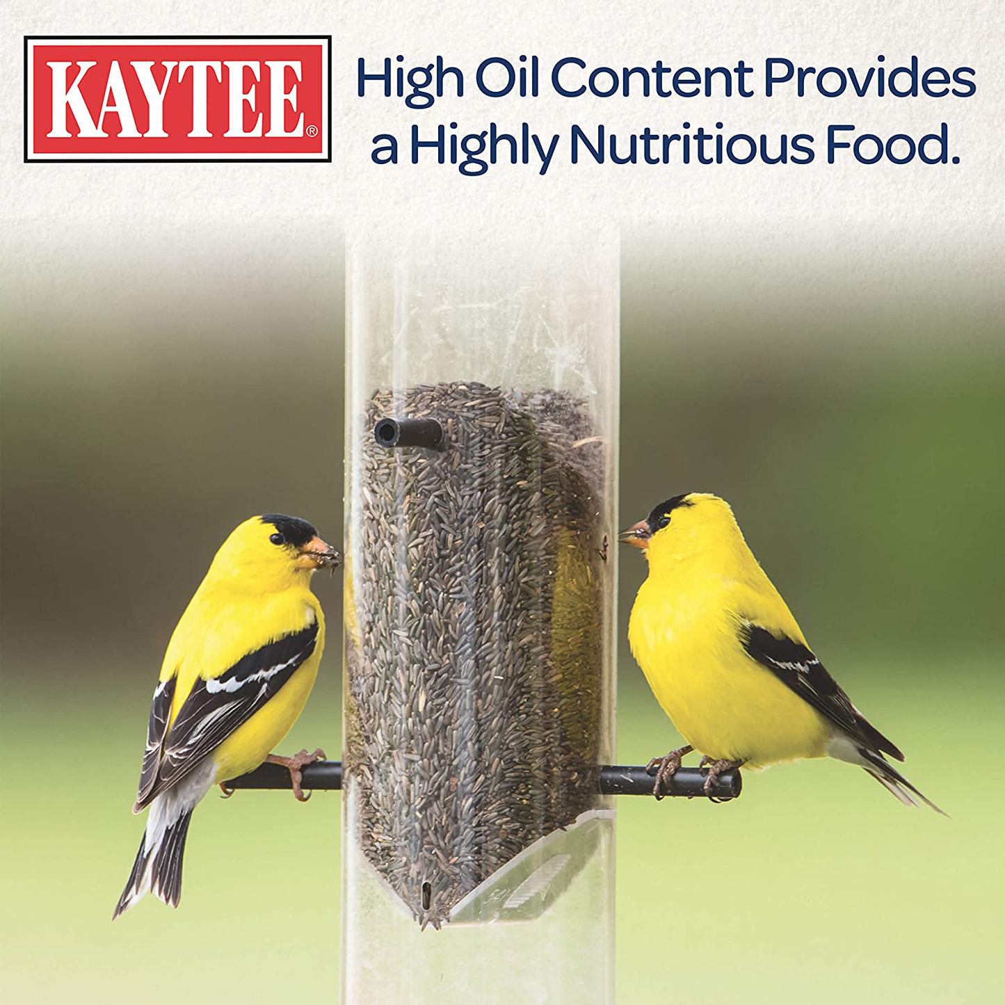 Kaytee Nyjer Wild Bird Food, 3 Pound Animals & Pet Supplies > Pet Supplies > Bird Supplies > Bird Food Kaytee   