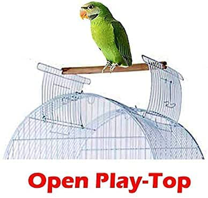 Large 64-Inch Open Dome Roof Top for Parrot Lovebird Cockatiel Cockatiels Parakeets Bird Cage with Removable Stand Animals & Pet Supplies > Pet Supplies > Bird Supplies > Bird Cages & Stands Mcage   