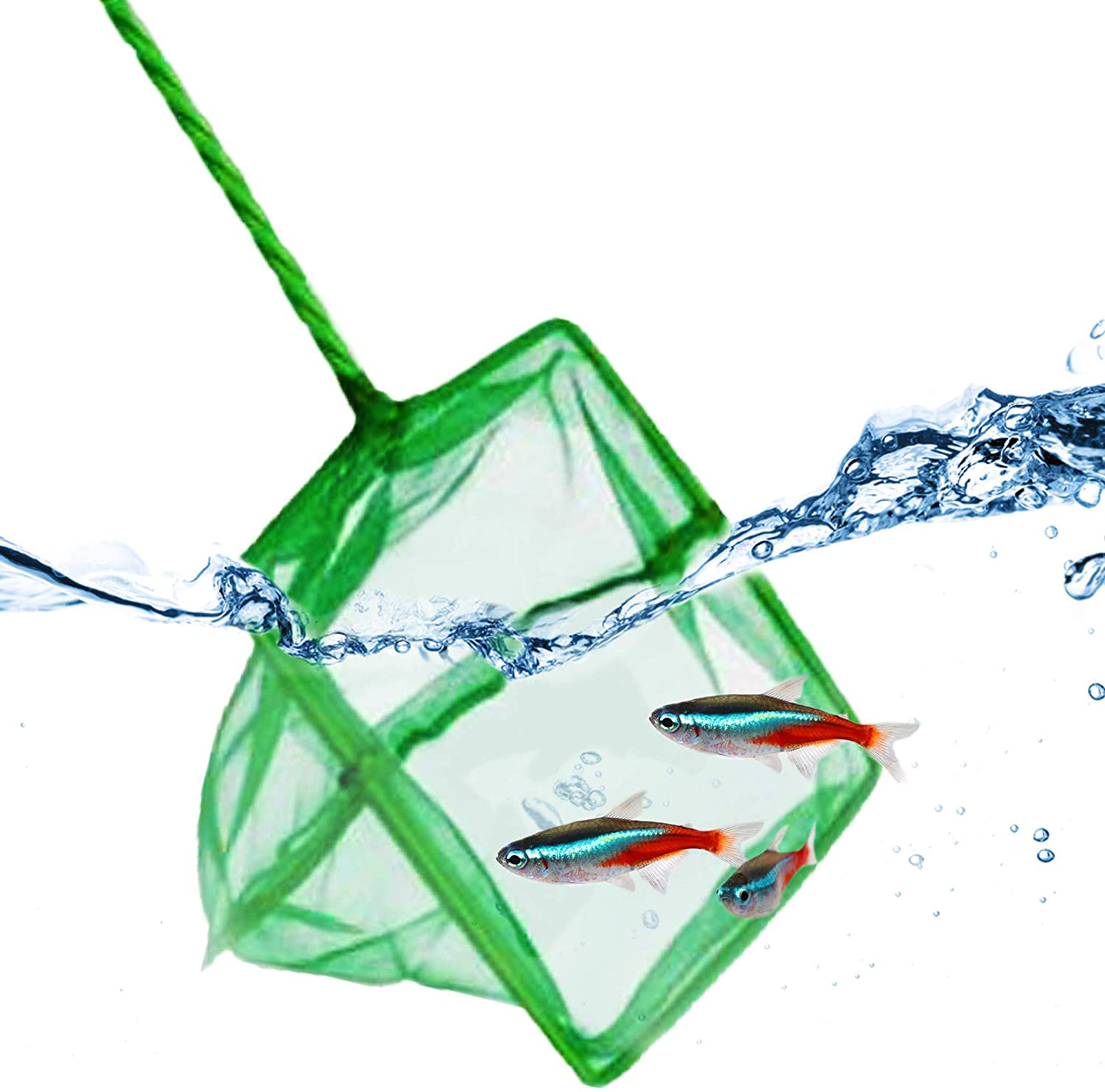 JOR Neon Tetra Net, Green Fine Mesh Ideal for Catching Small Fishes, with Sturdy Handle and Comfortable Grip, 1 Pc per Pack Animals & Pet Supplies > Pet Supplies > Fish Supplies > Aquarium Fish Nets JOR   