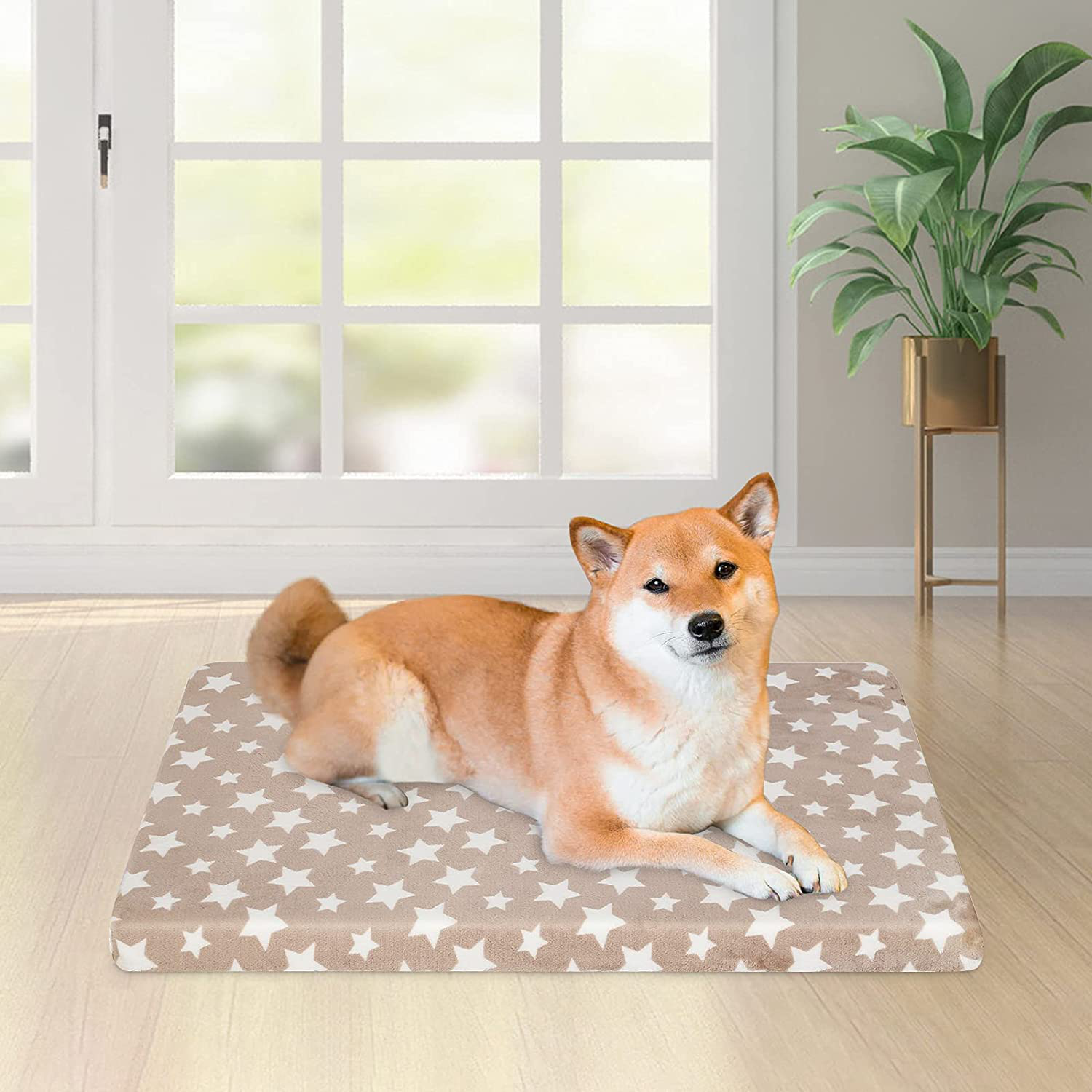 EMPSIGN Waterproof Dog Bed Crate Pad, Dog Bed Mat Reversible (Warm & Cool), Removable Washable Cover, Waterproof Liner & High Density Foam, Pet Bed Mattress for Small to Xx-Large Dogs, Beige, Star