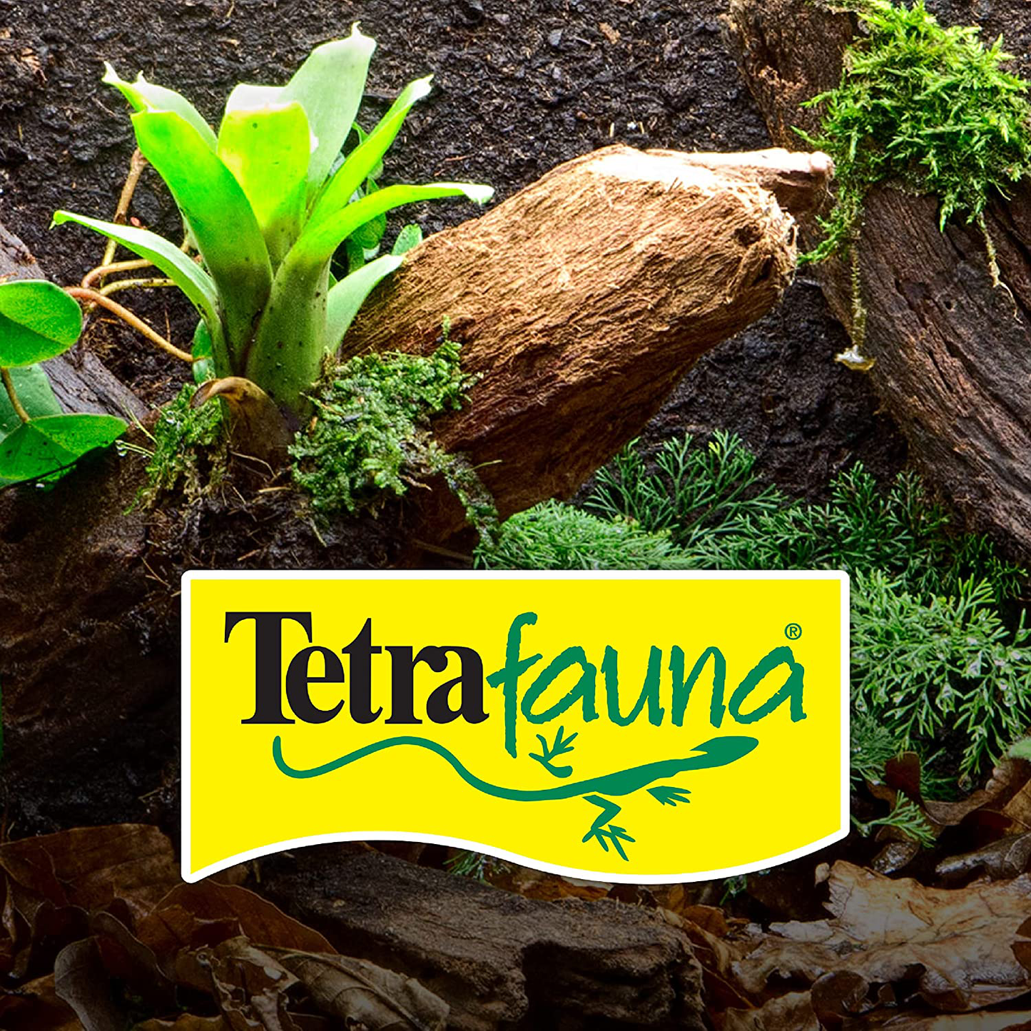 Tetra Reptomin Floating Food Sticks for Aquatic Turtles, Newts and Frogs Animals & Pet Supplies > Pet Supplies > Reptile & Amphibian Supplies > Reptile & Amphibian Food Tetra   