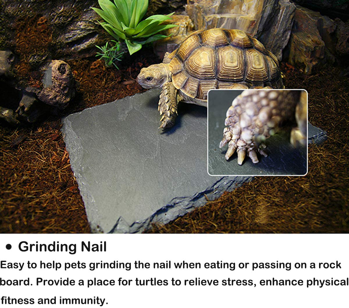 Linifar 2 Pack Reptile Basking Platform Rock, Tortoise Slate Feeding Dish & Food Bowl Resting Terrace Grinding Nail Habitat Accessories Supplies for Lizard Bearded Dragon Crested Gecko Chameleon Animals & Pet Supplies > Pet Supplies > Reptile & Amphibian Supplies > Reptile & Amphibian Habitat Accessories Linifar   