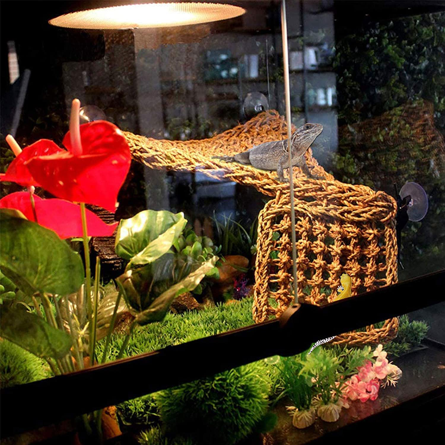 Chameleon top cage accessories