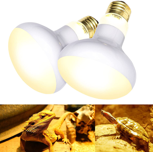 Basking Bulb for Bearded Dragon, 100W UVA Reptile Heat Lamp Soft White Light Glass Bulb Turtle Light Infrared Light Basking Heat Lamps Outdoor for Pet/Amphibian/Lizard(2Pack) Animals & Pet Supplies > Pet Supplies > Reptile & Amphibian Supplies > Reptile & Amphibian Habitat Accessories Kihoplly 2 Count (Pack of 1)  