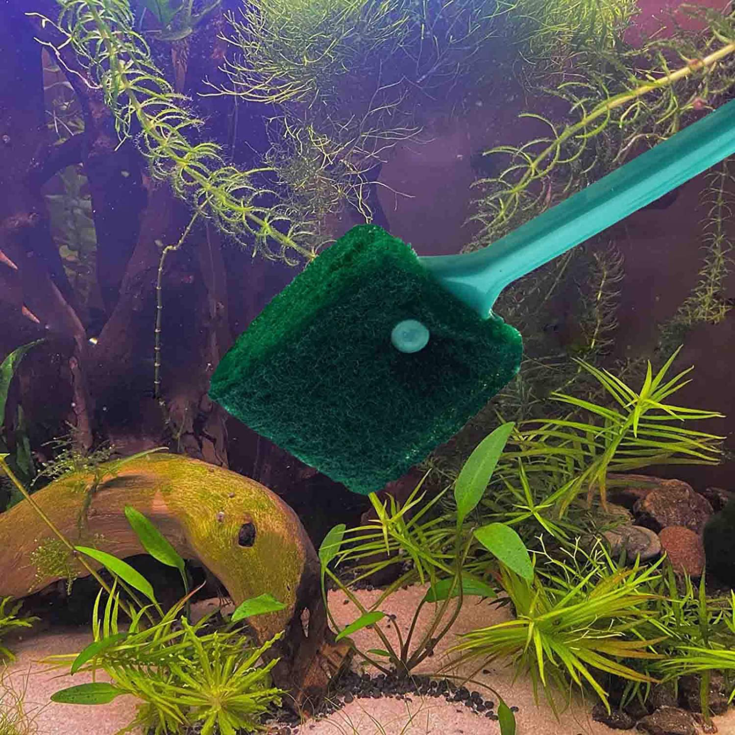 AOODOOM 3 PCS Double-Sided Aquarium Fish Tank Algae Cleaning Brush with Non-Slip Handle, Sponge Scrubber Cleaner for Glass Aquariums and Home Kitchen Animals & Pet Supplies > Pet Supplies > Fish Supplies > Aquarium Cleaning Supplies AOODOOM   
