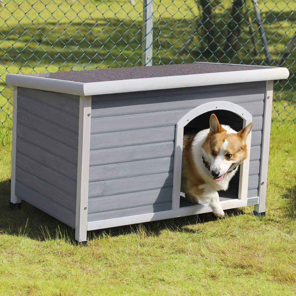 Petsfit Wooden Dog Houses Weatherproof for Small Dog Medium Dog Large Dogs Outdoor Dog Kennel with Raised Feet Animals & Pet Supplies > Pet Supplies > Dog Supplies > Dog Houses Petsfit Light Grey Medium/40.8" X 26" X 27.6" 