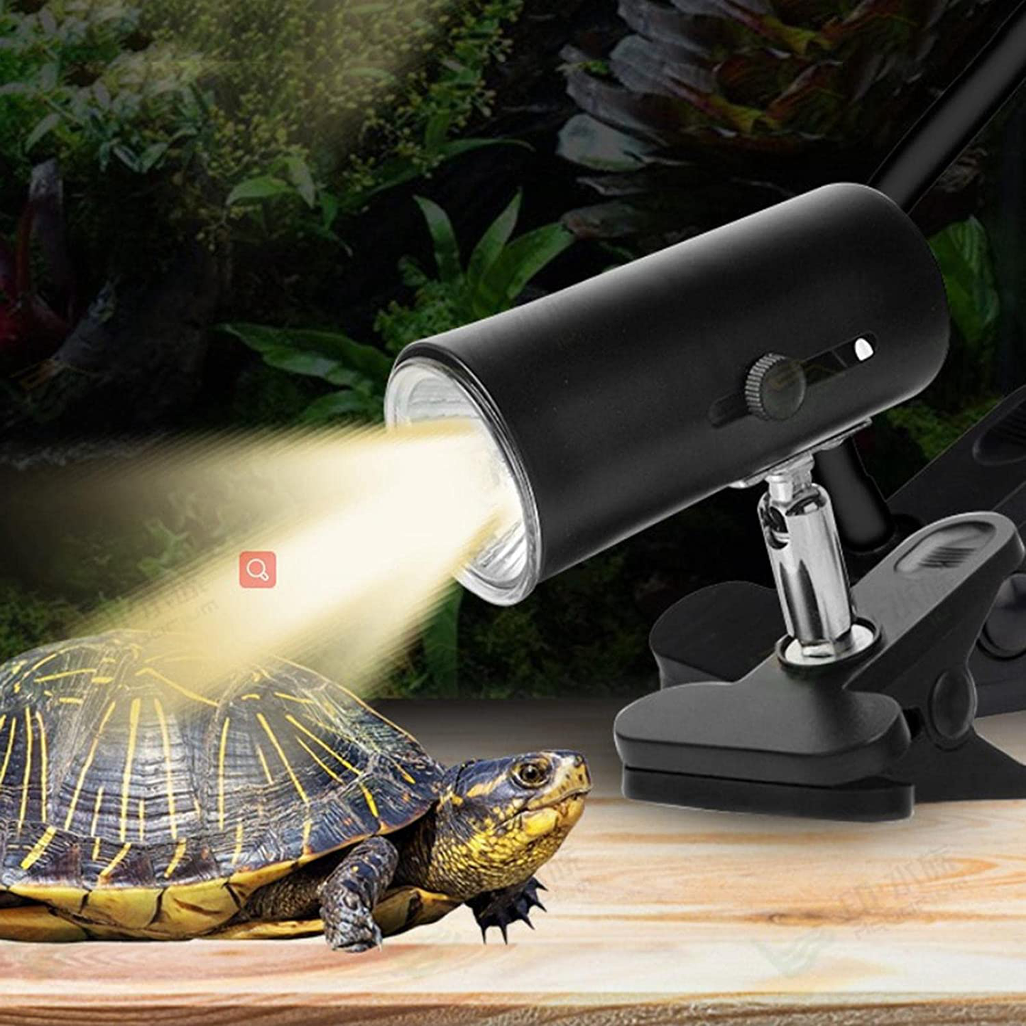 Fenteer Flexible Clamp Lamp Fixture for Reptiles. Terrarium Habitat Lighting & Heat Lamp Holder Stand，Uva UVB Light Lamp Pet Heating Bulb Holder - Rotatable Clip 2