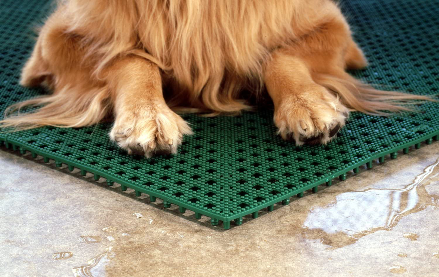 Dri-Dek Dog & Cat Kennel Cage Liner, Veterinarian or Groomer Flooring - 1'X1' Interlocking Tiles - 12-Pack (Green) Animals & Pet Supplies > Pet Supplies > Dog Supplies > Dog Kennels & Runs Dri-Dek®   
