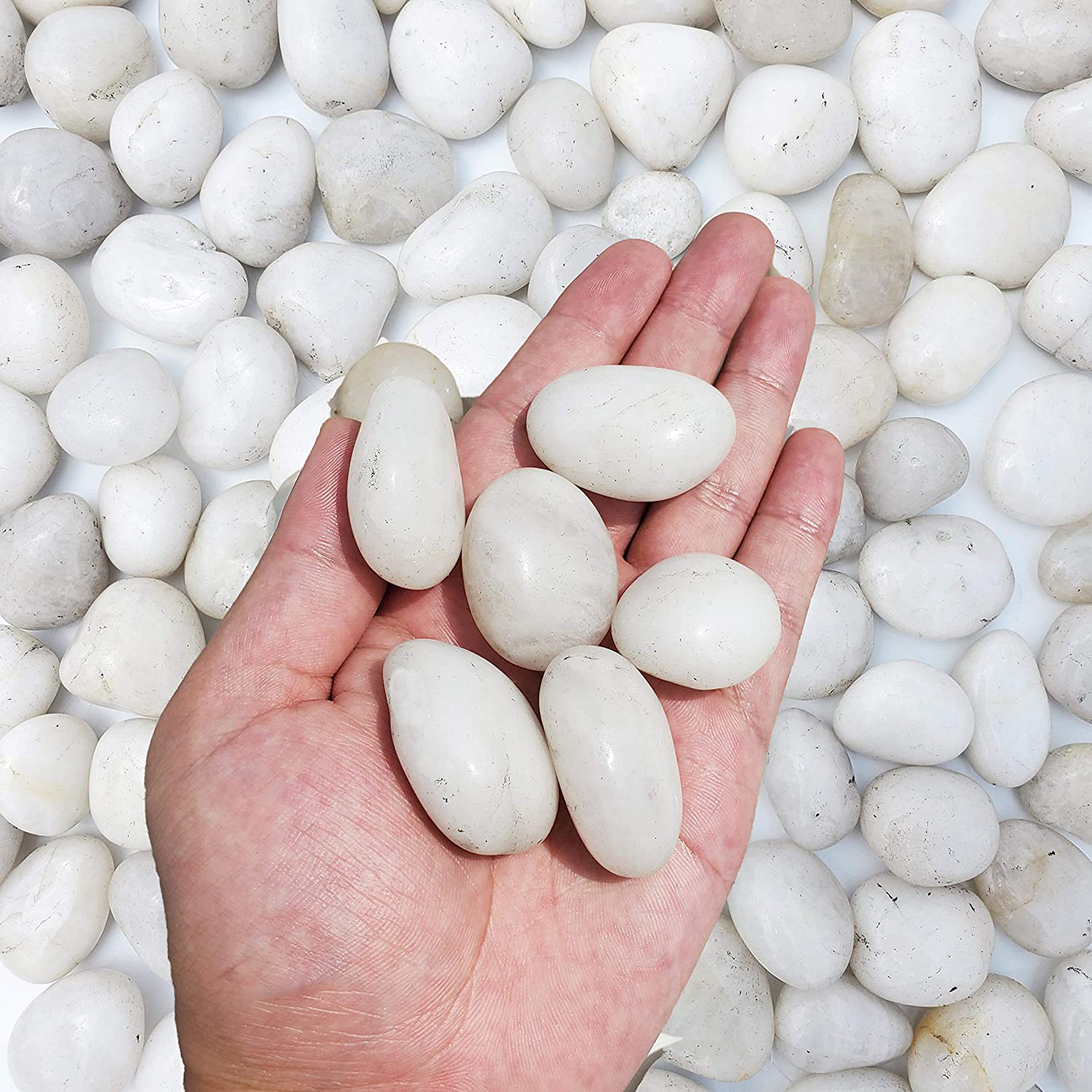 M--Jump 2 Pounds 1" - 2" Gravel Size Natural Decorative Stones Polished White Pebbles Use in Glassware, like Vases, Aquariums and Terrariums to Enhance the Appearance Animals & Pet Supplies > Pet Supplies > Fish Supplies > Aquarium Gravel & Substrates M--jump   