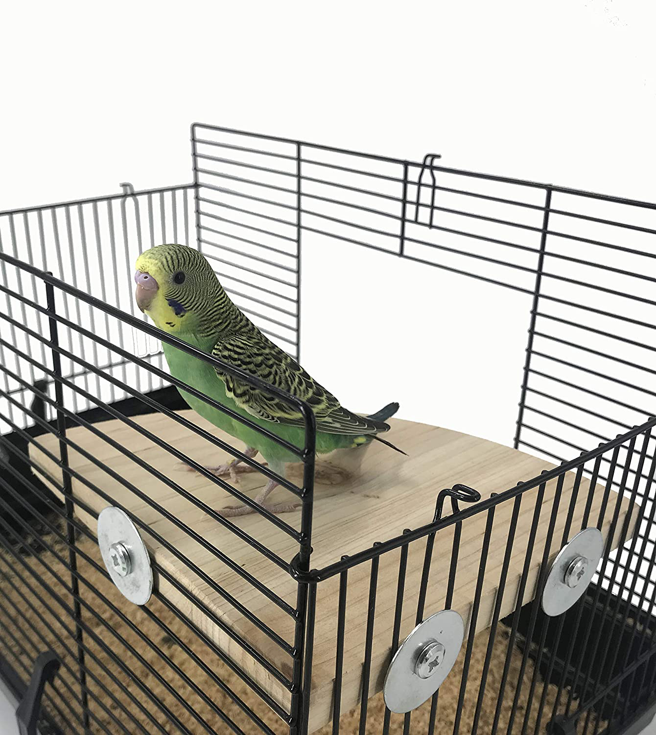 NAPURAL Wood Perch Bird Platform, Cage Accessories for Small Anminals Rat Hamster Gerbil Rat Mouse Lovebird Finches Conure Budgie Exercise Toy (7 Inches) Animals & Pet Supplies > Pet Supplies > Bird Supplies > Bird Ladders & Perches NAPURAL   