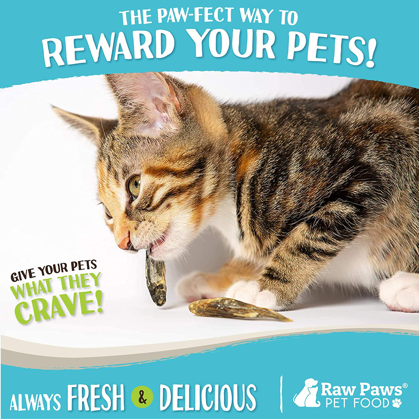 Raw Paws USA Freeze Dried Minnows for Dogs & Cats, 2-Oz - Grain Free Fish Dog Treats - Dried Minnows for Cats - Single Ingredient Minnow Treats for Dogs - Natural Fish Cat Treats - Dog Fish Treats Animals & Pet Supplies > Pet Supplies > Cat Supplies > Cat Treats Raw Paws   