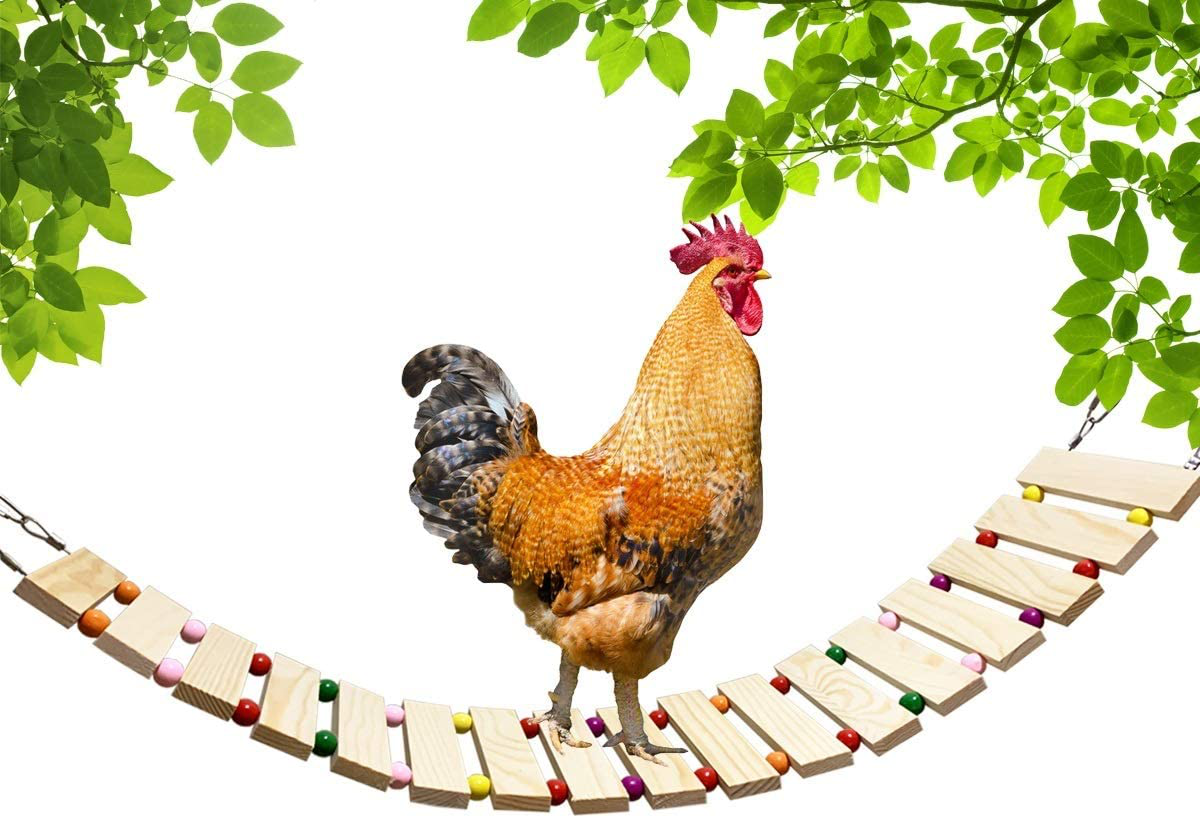 Vehomy Chicken Coop Toy Chicken Toys for Hens Natural Wood Chicken Ladder Chicken Swing Chicken Perch for Birds Poultry Rooster Chicks