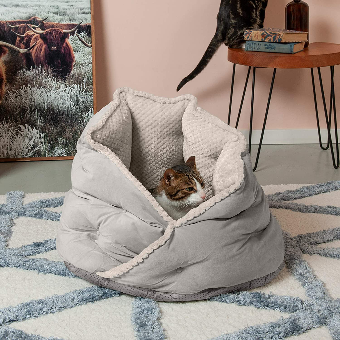 Furhaven Cozy Pet Beds for Dogs and Cats - Hi Lo Thermal Cuddler Dog Bed, Minky Plush and Velvet Calming Hug Bed - Multiple Colors and Sizes Animals & Pet Supplies > Pet Supplies > Cat Supplies > Cat Beds Furhaven   