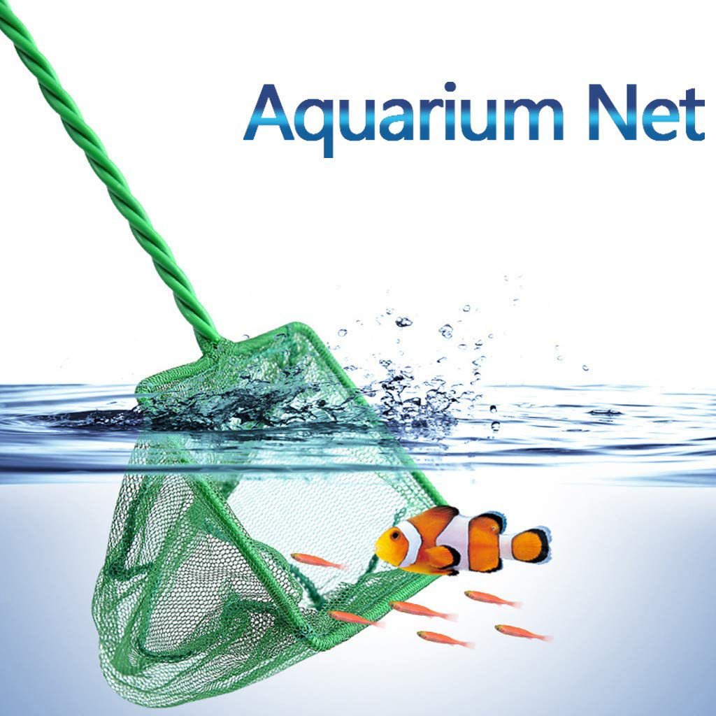 Gornorriss Aquarium Fish Tank Net Fine Mesh Fish Catch Net with Plastic Handle, Quick Catch Mesh Nylon Fishing Catch Nets - Green(3",4", 5", 6", 8", 10", 12") Animals & Pet Supplies > Pet Supplies > Fish Supplies > Aquarium Fish Nets GorNorriss   