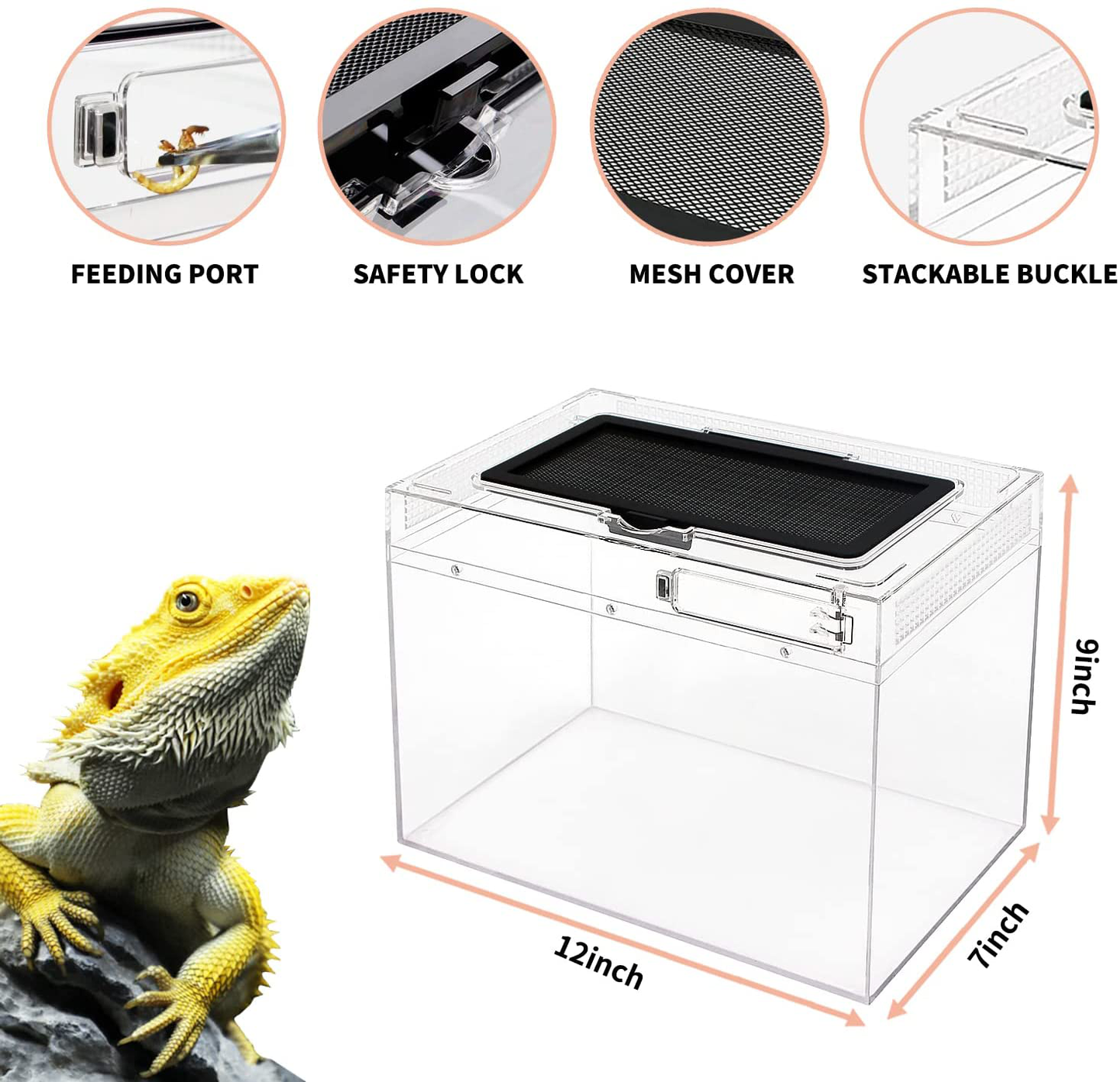 Reptile Growth Reptile Terrarium, 12" X 7"X 9" Reptile Tank with Full View Visually Appealing,Crystal Explosion Proof PC Mini Reptile Habitat Cages for Reptiles and Amphibians. Animals & Pet Supplies > Pet Supplies > Reptile & Amphibian Supplies > Reptile & Amphibian Habitat Accessories Reptile Growth   