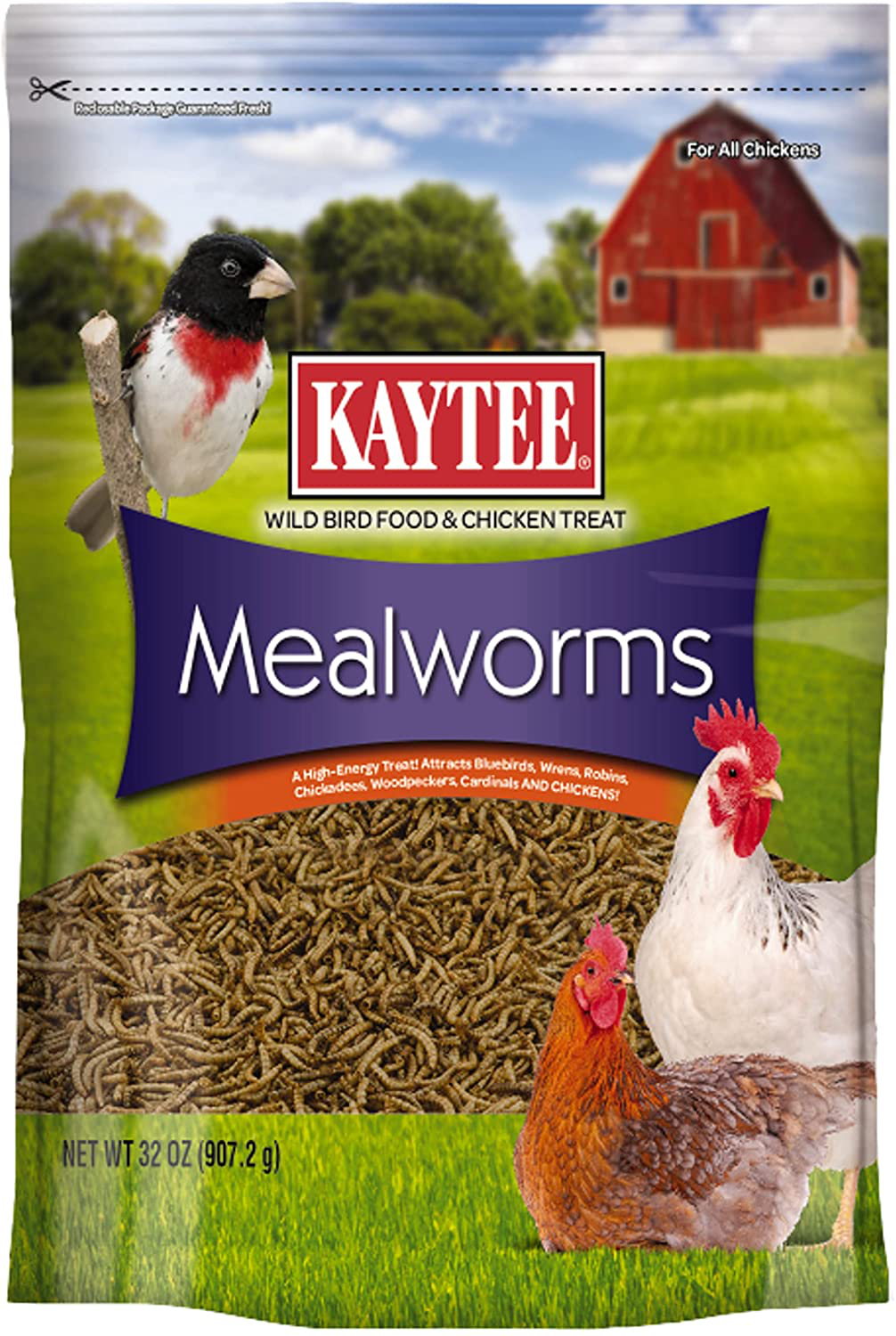 Kaytee Mealworm Food Pouch Animals & Pet Supplies > Pet Supplies > Bird Supplies > Bird Treats Kaytee 2 Pound (Pack of 1)  