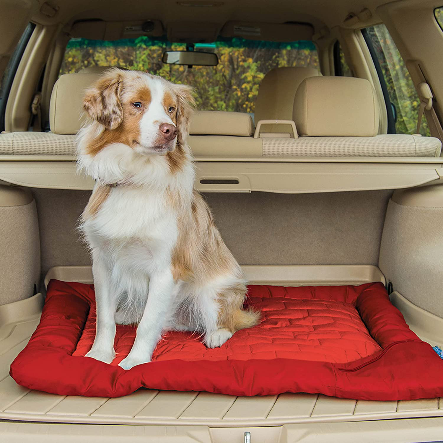 Kurgo Waterproof Dog Bed, Outdoor Bed for Dogs |Portable Bed Roll for Pets, Travel |Hiking, Camping, Wander Loft Dog Bed |Chili Red (Medium) Animals & Pet Supplies > Pet Supplies > Dog Supplies > Dog Beds Kurgo   