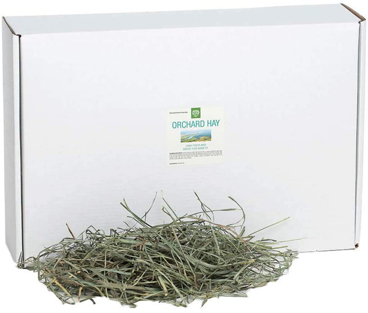 Small Pet Select Orchard Grass Hay Pet Food Animals & Pet Supplies > Pet Supplies > Small Animal Supplies > Small Animal Food Small Pet Select green 5 Pound (Pack of 1) 
