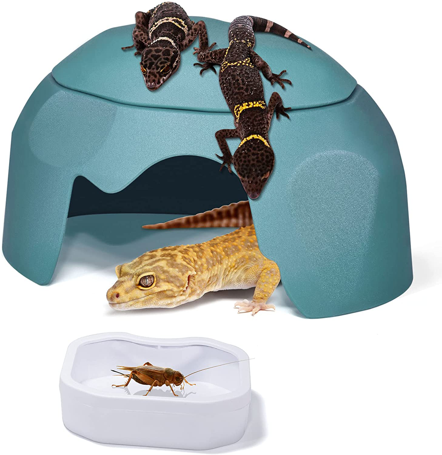 Fischuel Reptile Hides Humidification Cave Help Your Pets Shedding, a Damp Hideout with Natural Rock Designto, Suitable for Bearded Dragons Lizards Leopard Gecko Spiders Turtles and Snakes Animals & Pet Supplies > Pet Supplies > Reptile & Amphibian Supplies > Reptile & Amphibian Habitat Heating & Lighting Fischuel Blue  