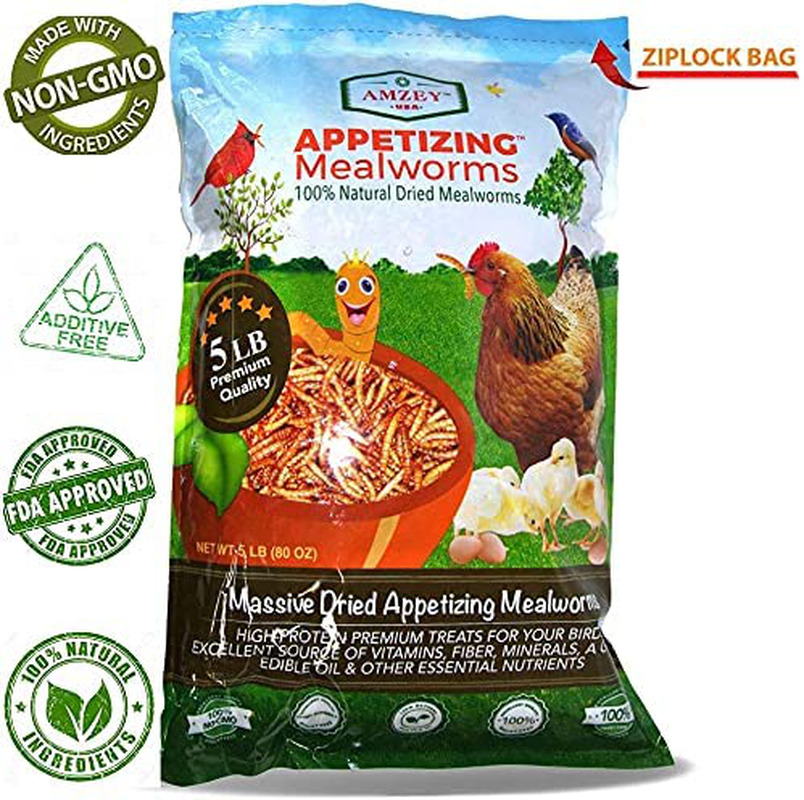 Mealworms -5 Lbs- 100% Non-Gmo Dried Mealworms - Large Meal Worms - Bulk Mealworms -High Protein Treats- Perfect Mealworm for Chickens, Ducks, Turtles, Blue Birds, Lizards - Bag of Mealworms 5 LBS Animals & Pet Supplies > Pet Supplies > Bird Supplies > Bird Treats Amzey Appetizing Mealworms   