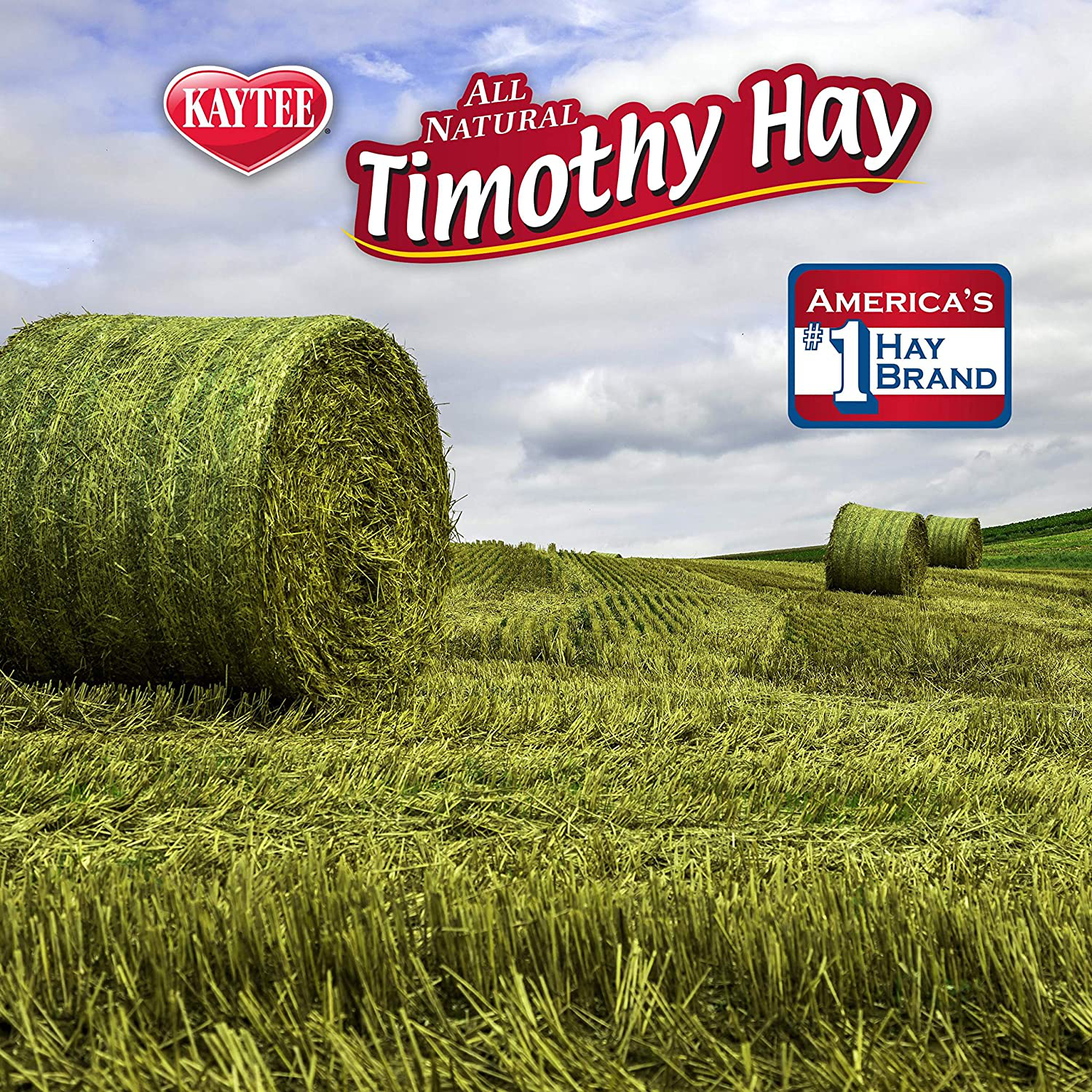 Kaytee Timothy Hay Blend Cubes 1 Pound Animals & Pet Supplies > Pet Supplies > Small Animal Supplies > Small Animal Treats Kaytee   