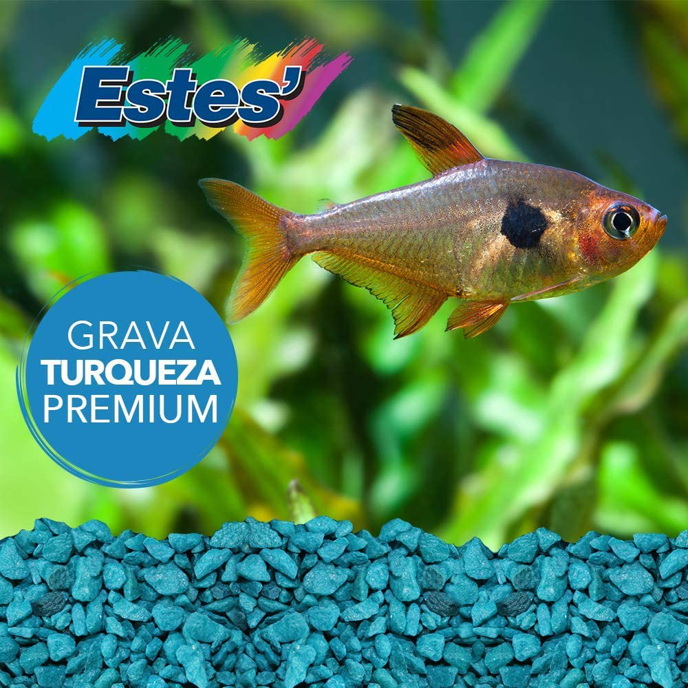 Spectrastone Special Turquoise Aquarium Gravel for Freshwater Aquariums, 5-Pound Bag