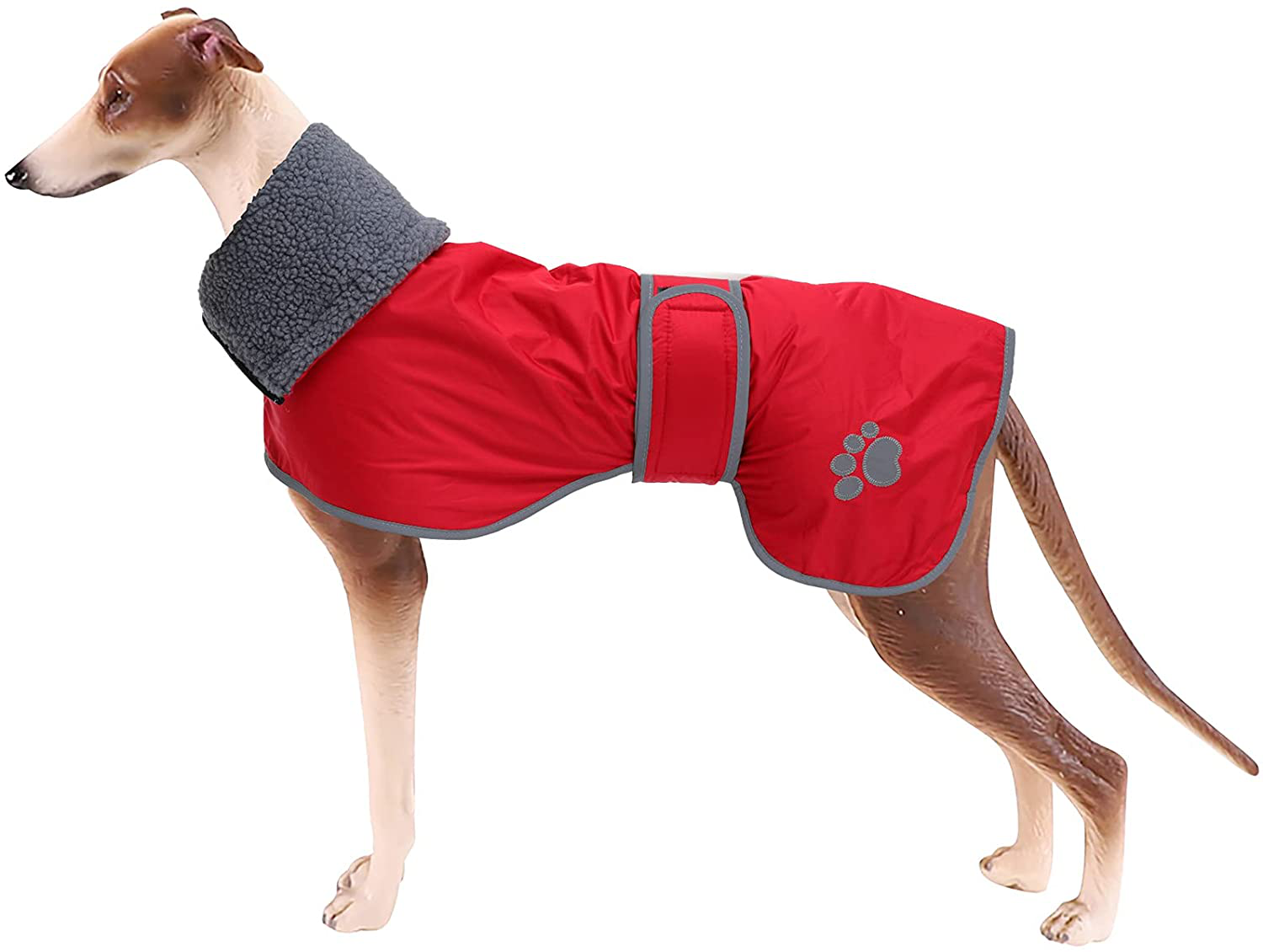 Geyecete Dog Winter Coat Greyhound Raincoat Fabric with Lamb Velvet inside Outdoor Dog Apparel with Adjustable Bands for Medium, Large Dog Animals & Pet Supplies > Pet Supplies > Dog Supplies > Dog Apparel Geyecete Red Medium 