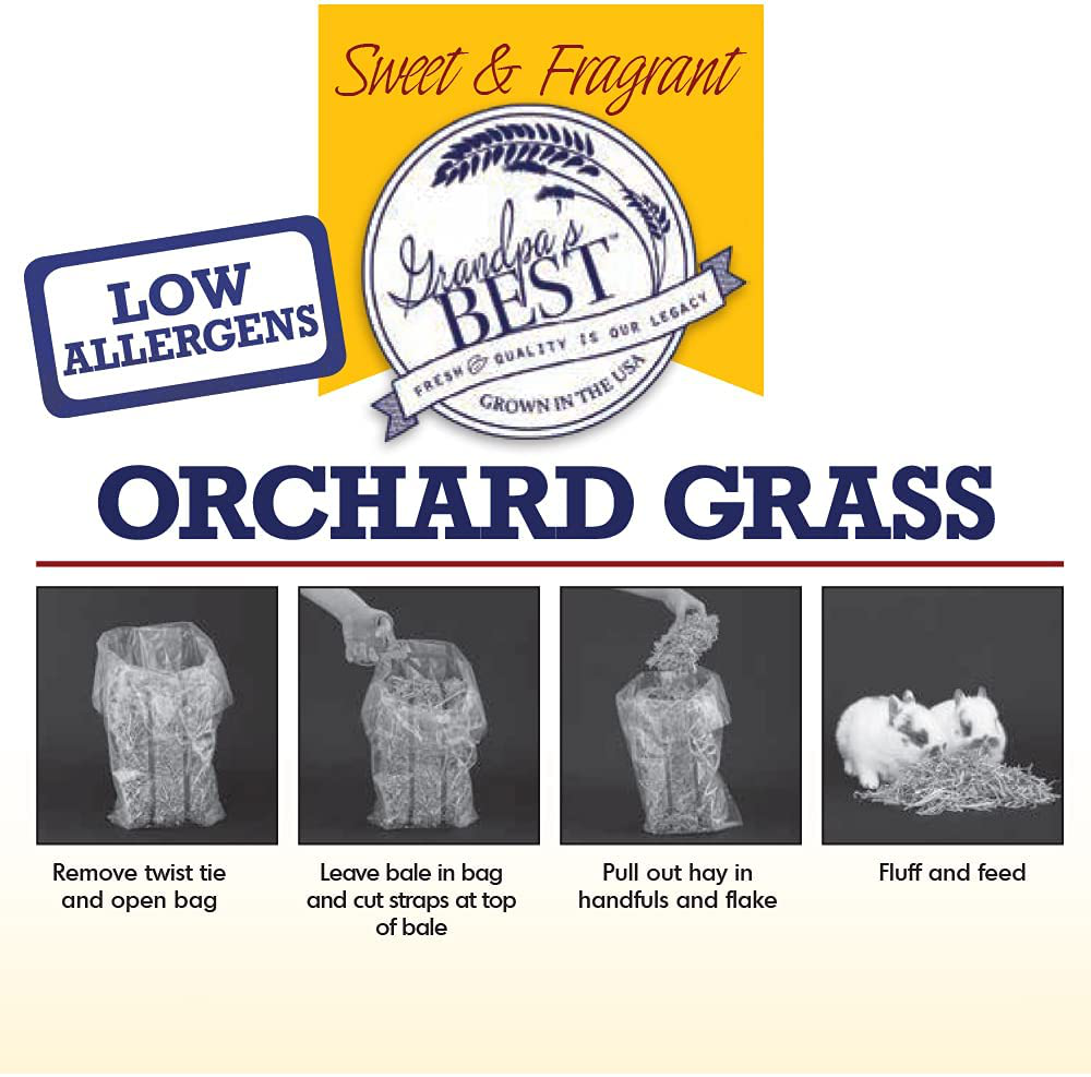 Grandpa'S Best Orchard Grass Bale Animals & Pet Supplies > Pet Supplies > Small Animal Supplies > Small Animal Food Grandpa's Best   