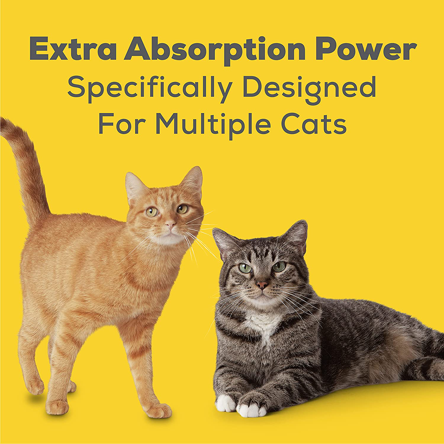 Purina Tidy Cats Breeze Litter System Cat Pad Refills Animals & Pet Supplies > Pet Supplies > Cat Supplies > Cat Litter Purina Tidy Cats   