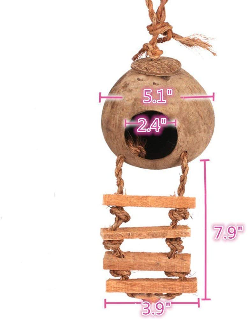 Hanging Bird House with Ladder,Natural Coconut Fiber Shell Bird Nest Breeding for Parrot Parakeet Lovebird Finch Canary,Coconut Hide Bird Swing Toys for Hamster,Bird Cage Accessories,Pet Bird Supplies Animals & Pet Supplies > Pet Supplies > Bird Supplies > Bird Cage Accessories Hamiledyi   