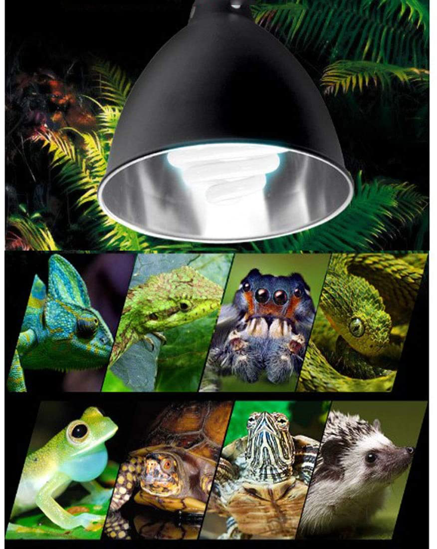 Hamiledyi Reptile Light Fixture 5.5 Inch Deep Dome Lamp Cap Lamp Fixture Optical Reflection Cover for Reptile Glass Terrariums