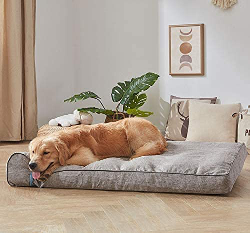 BDEUS 50 X 36 X 6.5In Orthopedic Dog Beds for Large Dogs Clearance Super Thick & Comfortable Pet Bed with Pillow, Washable Cover and Anti-Slip Bottom Animals & Pet Supplies > Pet Supplies > Dog Supplies > Dog Beds BDEUS   