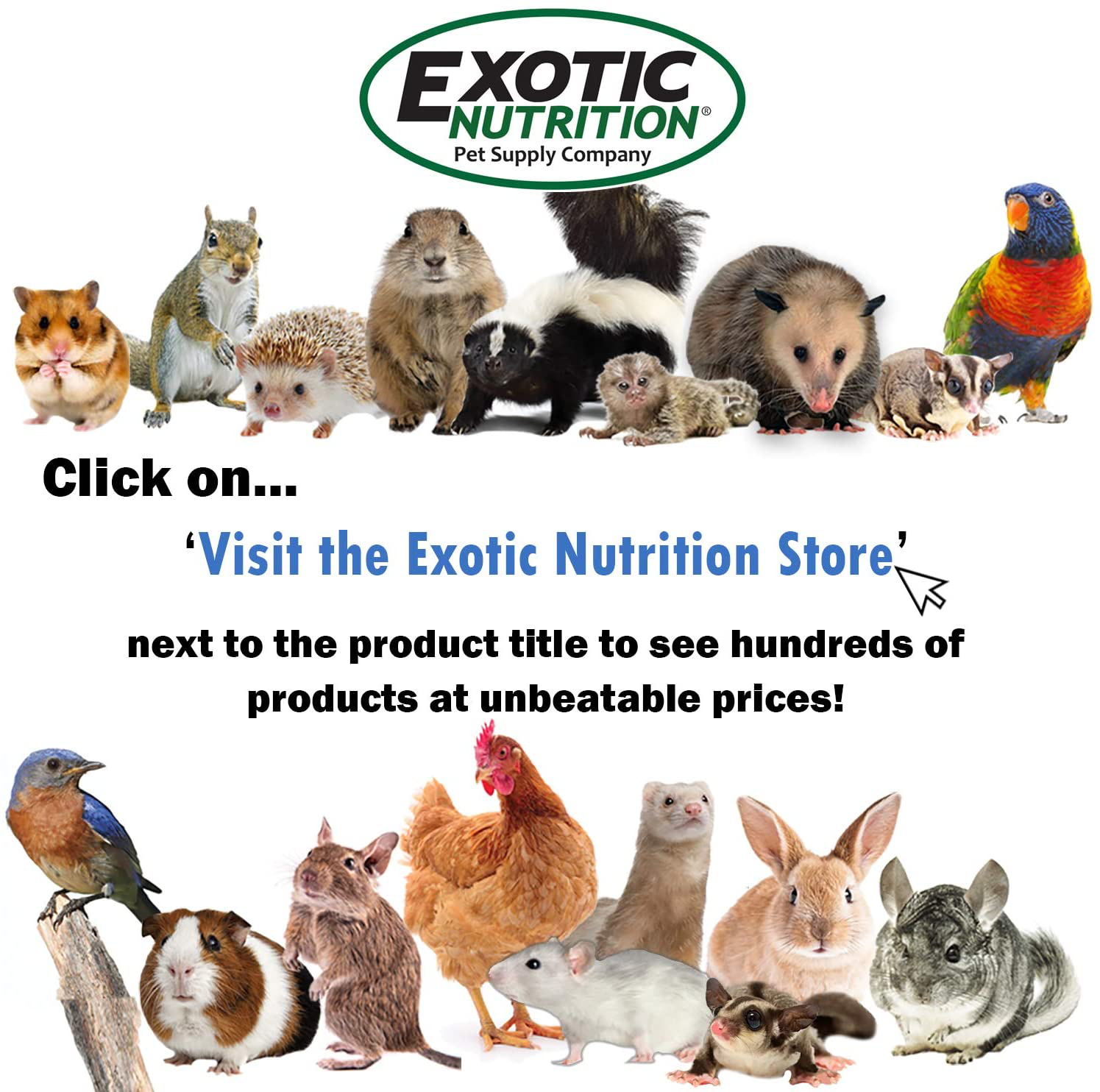 Exotic Nutrition Whole Oats 4 Lb. - Healthy Supplemental Food - Natural Whole Oats for Prairie Dogs, Degus & Chinchillas Animals & Pet Supplies > Pet Supplies > Small Animal Supplies > Small Animal Food Exotic Nutrition   